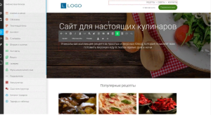 Все о конструкторе интернет-магазинов TOBIZ